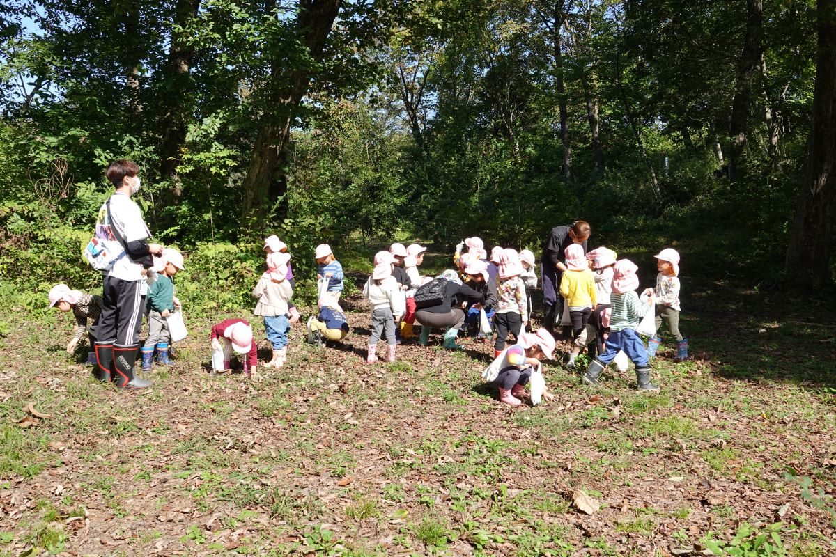 10月12日（木）さくらぐみの市民の森散策