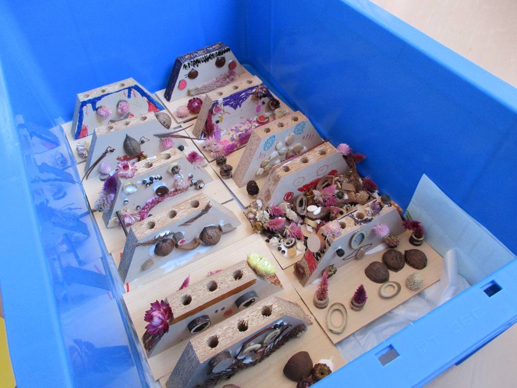 年長組　体験活動