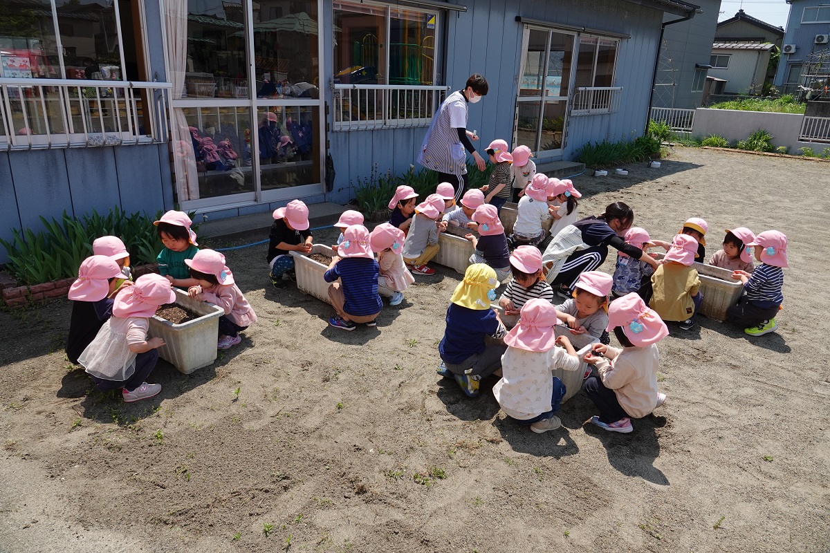 5月10日（水）年少さくらぐみの種蒔き