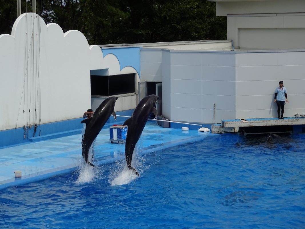 9月5日（火）親子バス遠足