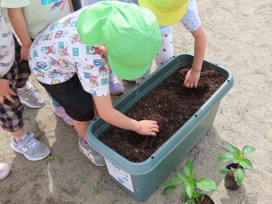 肥料を入れて・・・