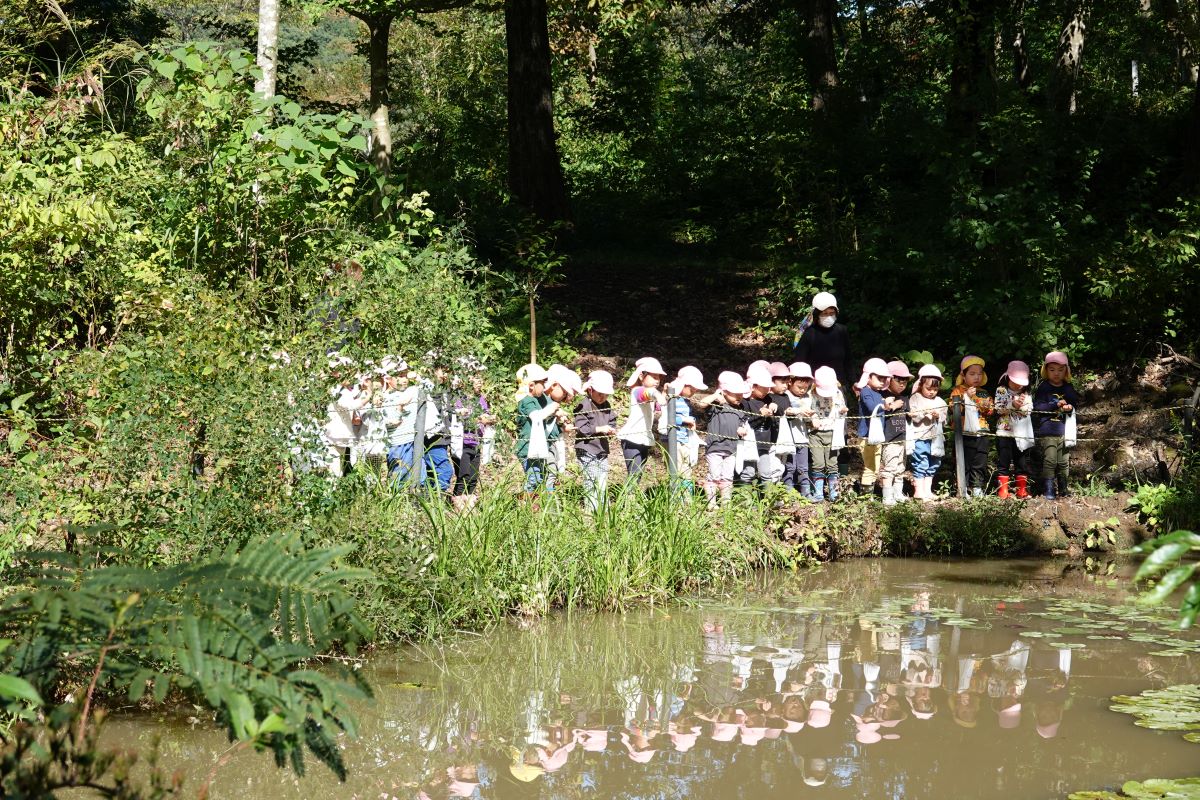 10月12日（木）さくらぐみの市民の森散策