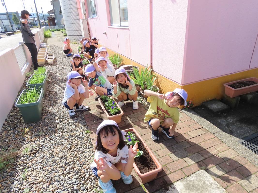 年長組の花苗植え