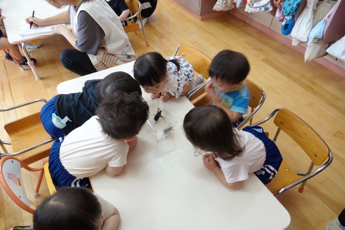 7月3日（月）ばら、つぼみぐみのカブトムシ観察