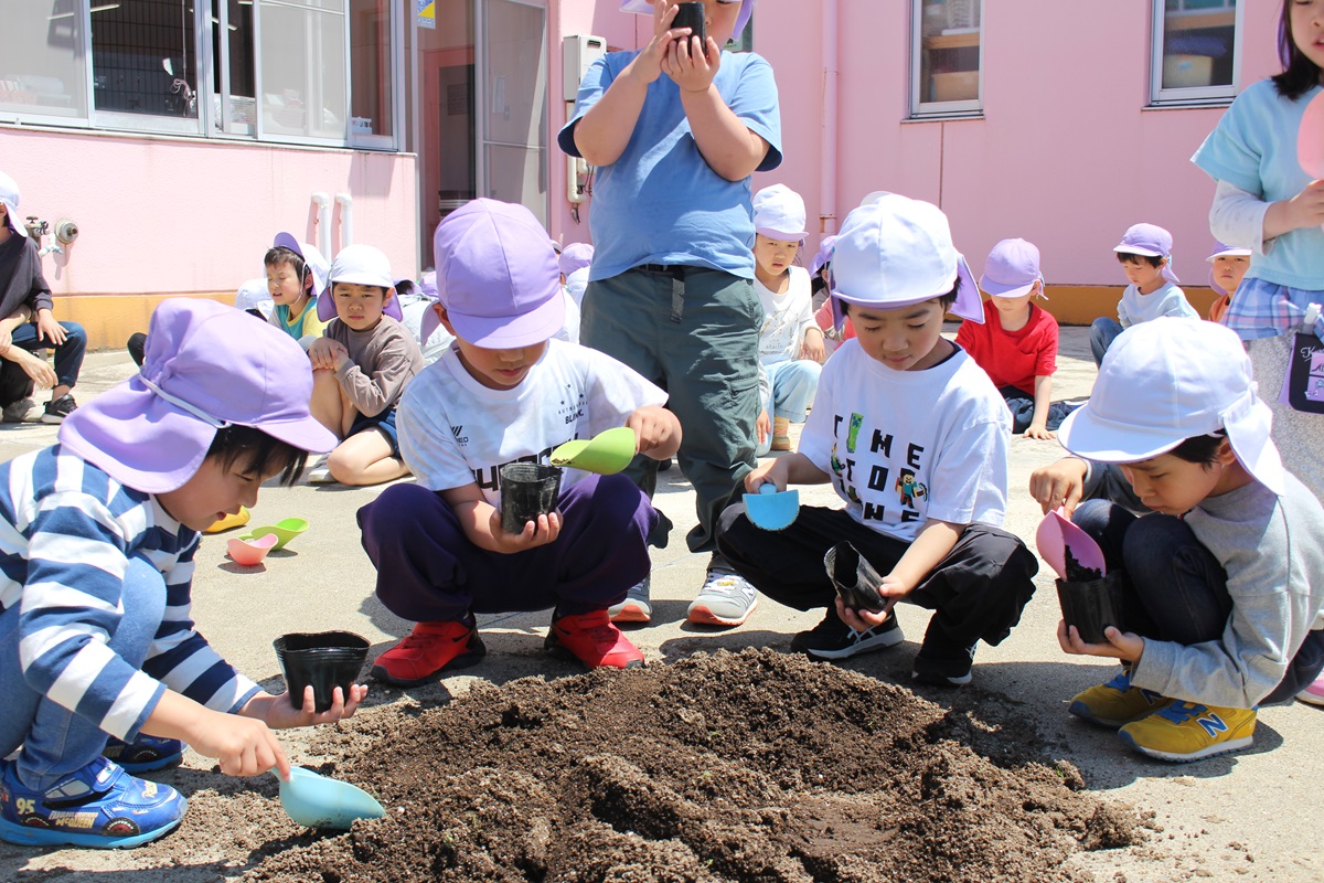 5月8日（木） 年長組 枝豆栽培 種まき
