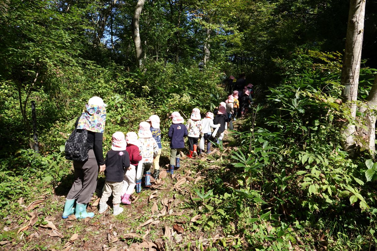 10月12日（木）さくらぐみの市民の森散策