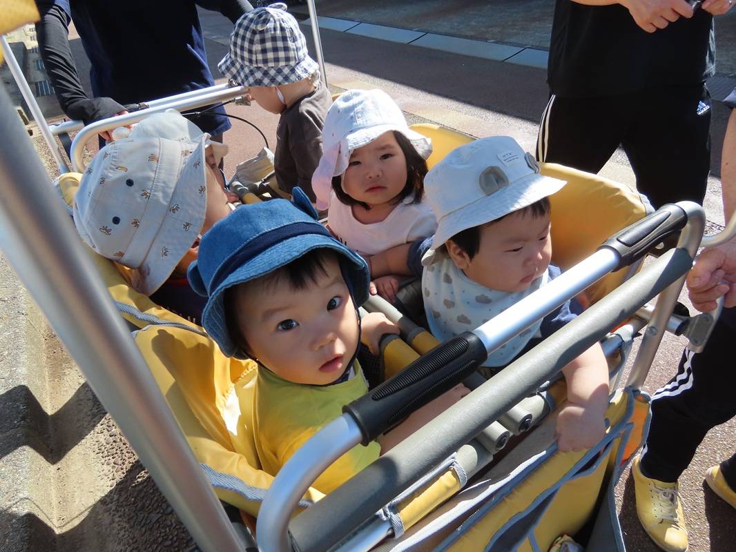 つぼみ組のお散歩