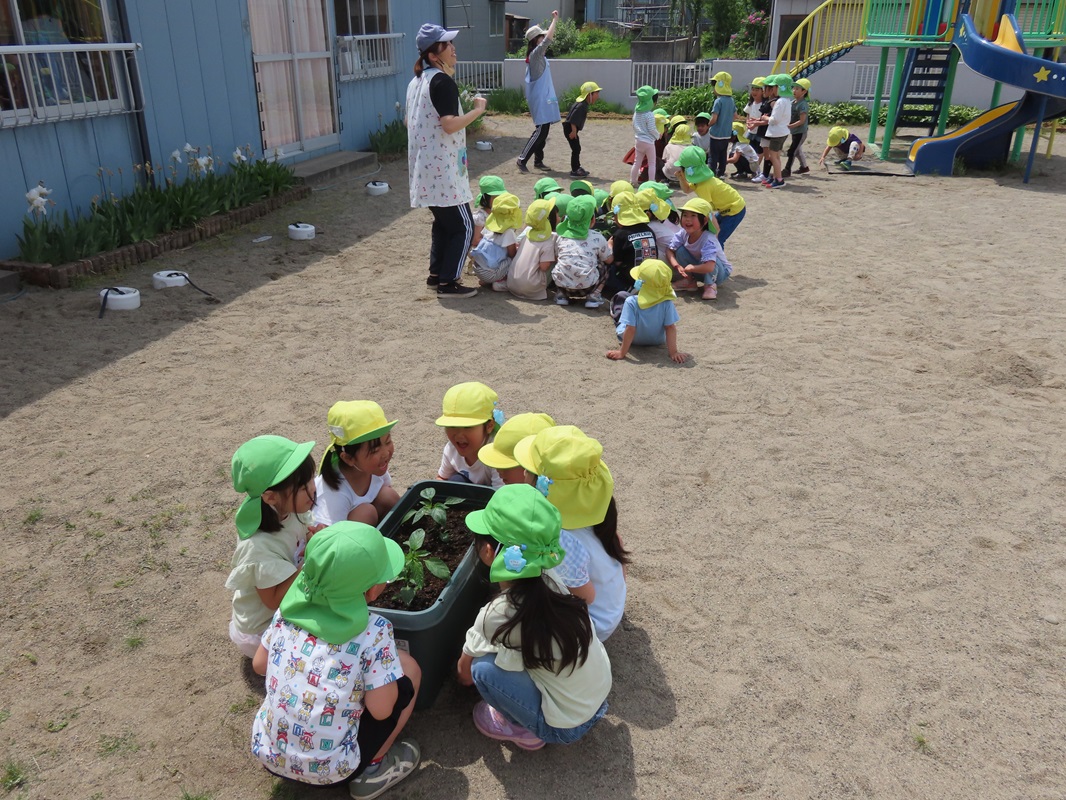 大きくなあれ！大きくなあれ！