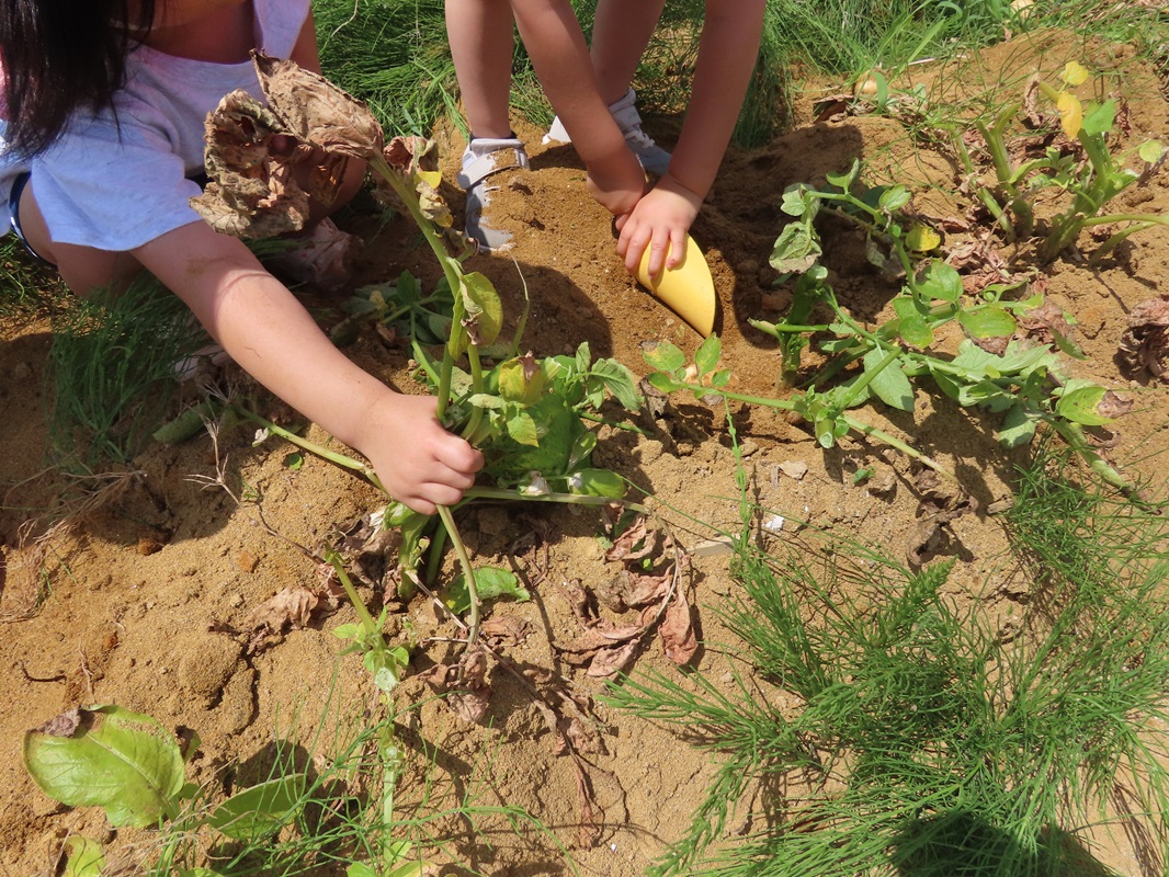 やってみよう！