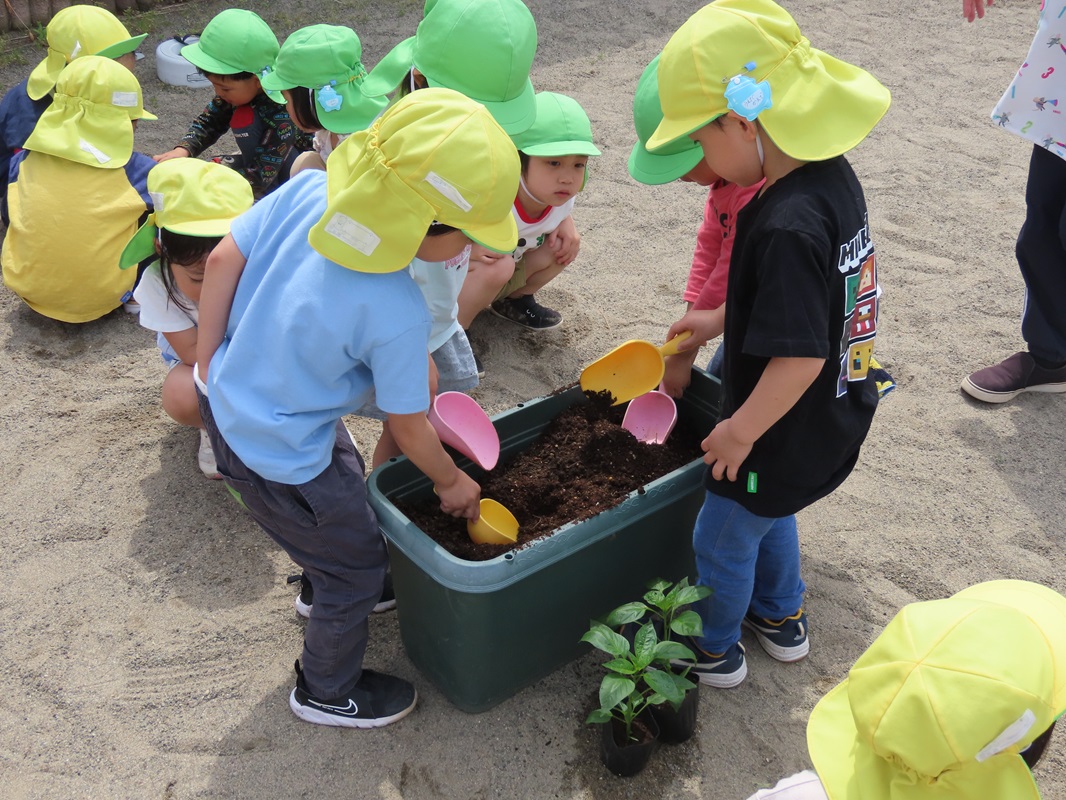 スコップで穴を掘ります