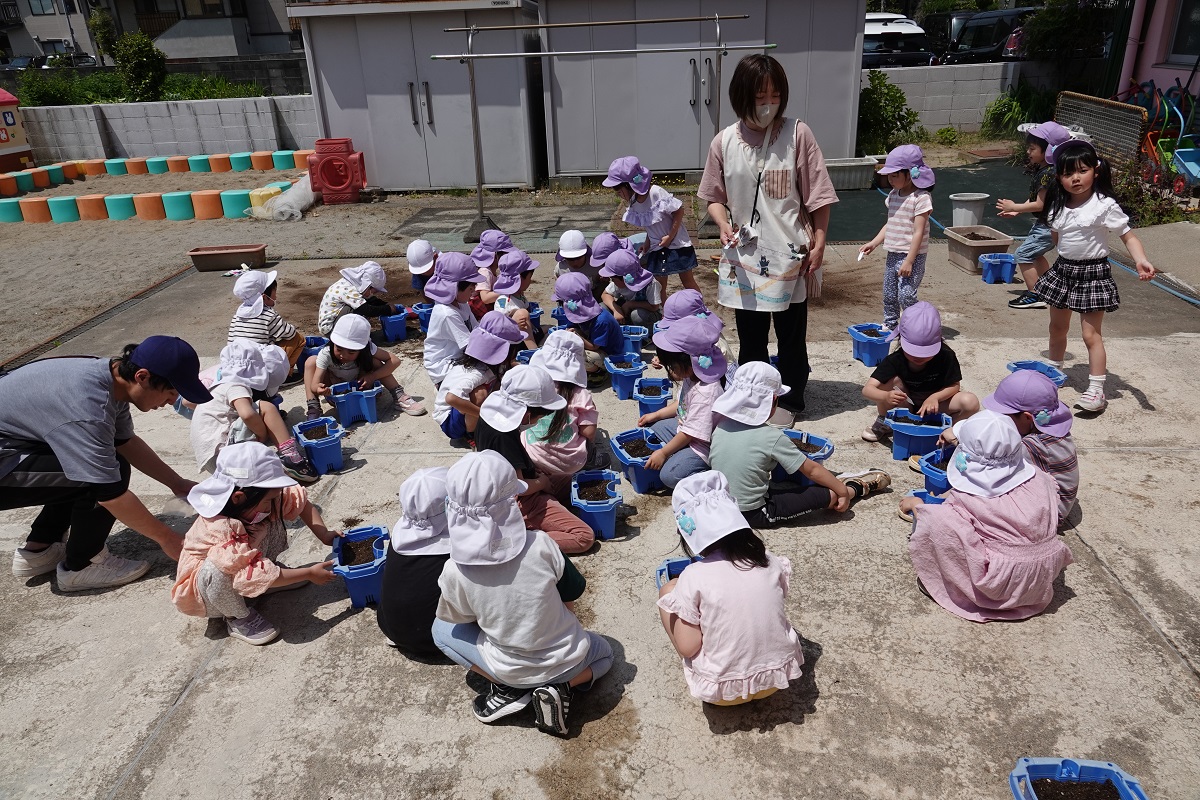 5月17日（水）年長の種蒔き