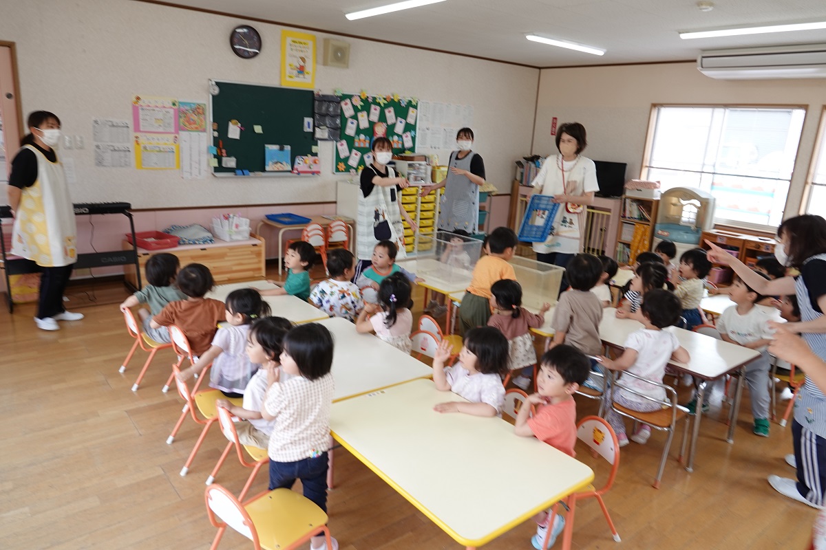 5月22日（月）ぼたんぐみでチョウが舞いました