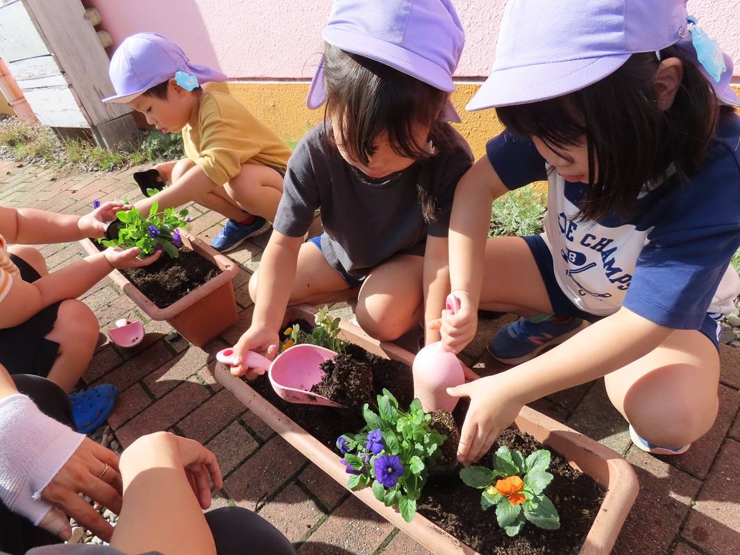 年長組の花苗植え