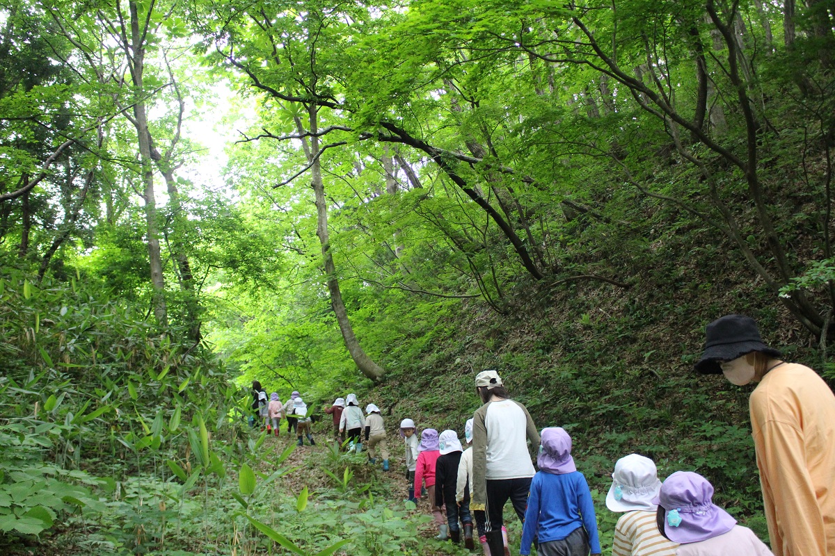 5月26日（金）年長のサツマイモ植え