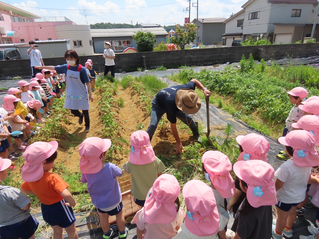 掘り方の説明を受けます