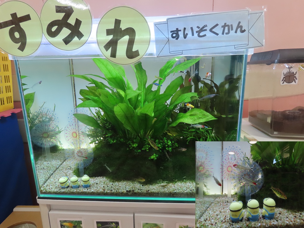 7月28日（月） すみれ水族館　模様替え