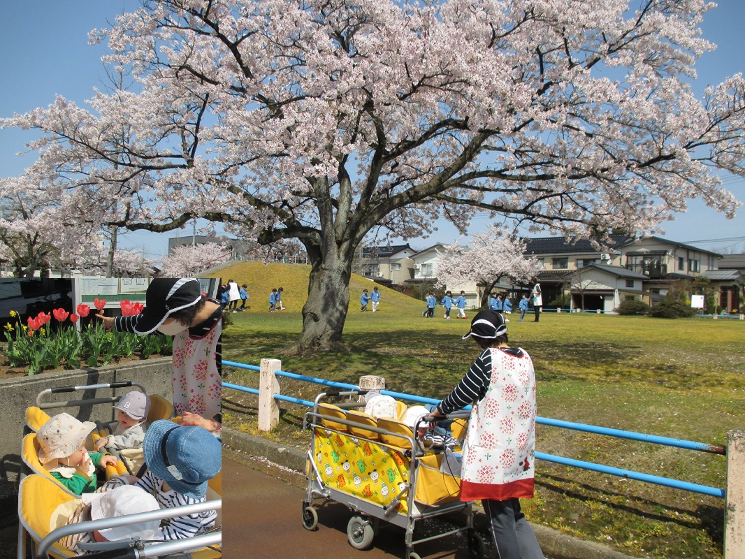 4月17日（木） つぼみ組の散歩