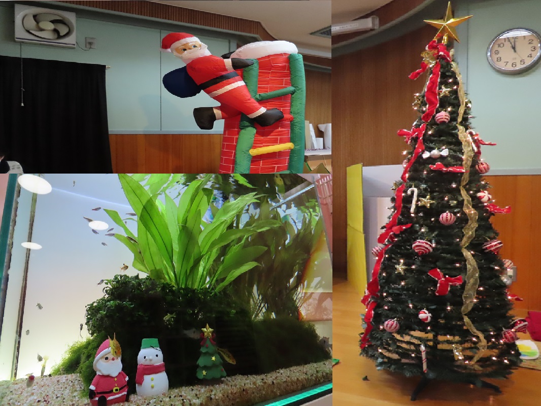 １２月４日（水） クリスマスに模様替え