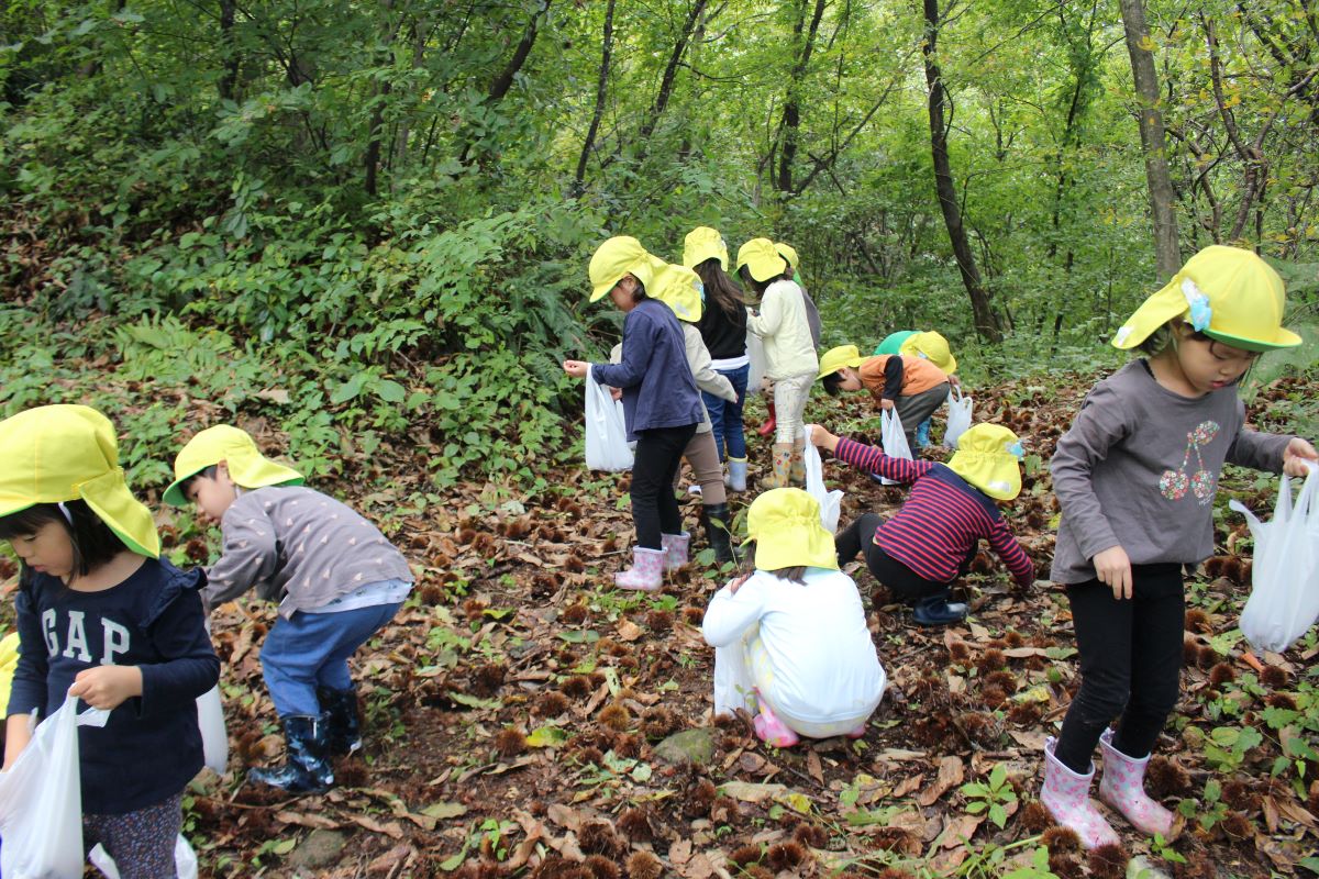 10月6日（金）きくぐみの市民の森体験活動