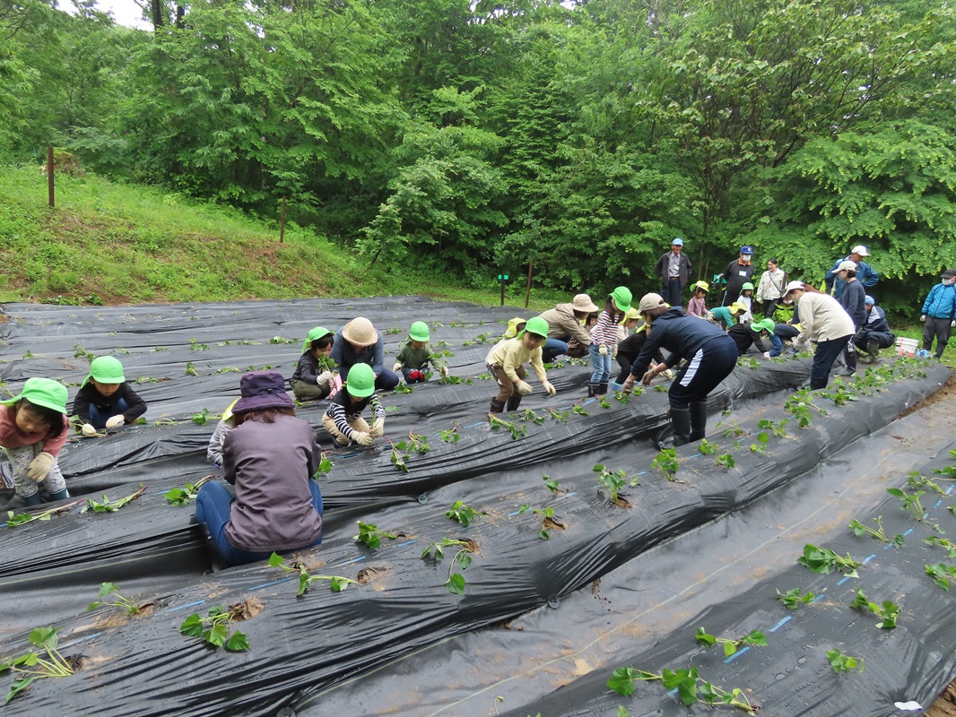 ５月２２日（木） 年中組 体験活動