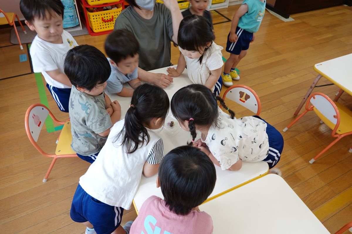 6月24日（月）ぼたんぐみのカタツムリ観察