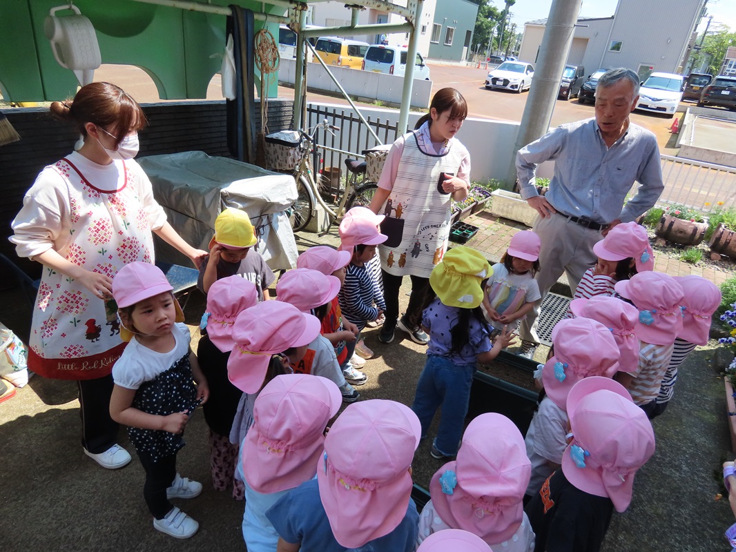 5月１３日（火） さくら組 「にら」の種まき