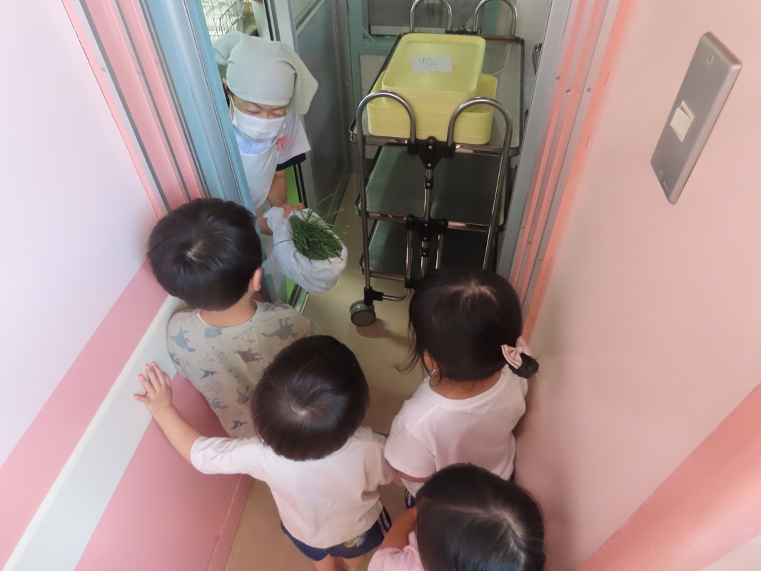 給食の先生お願いします！