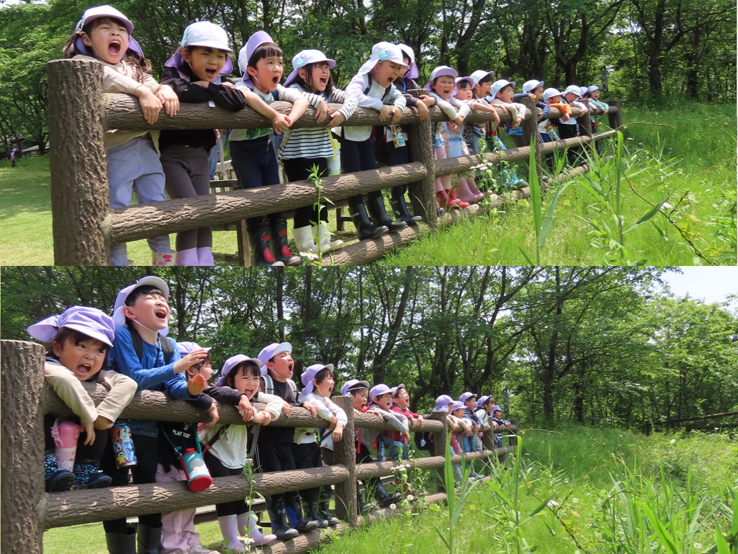 ヤッホー広場で「ヤッホー！」