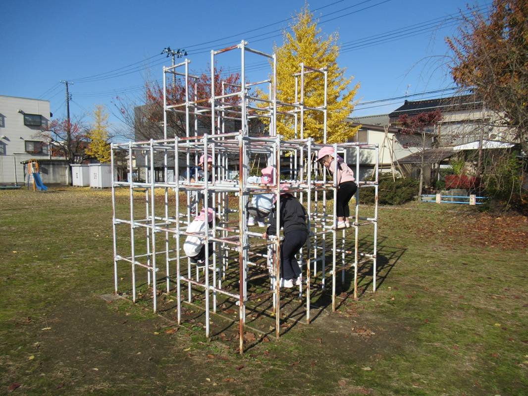 さくら組　公園で秋を満喫しました