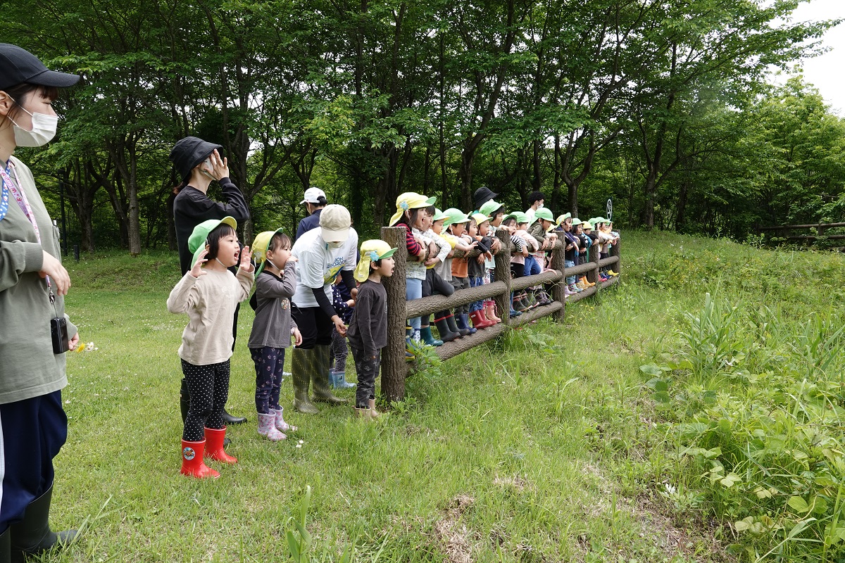 5月25日（木）年中のサツマイモ植え