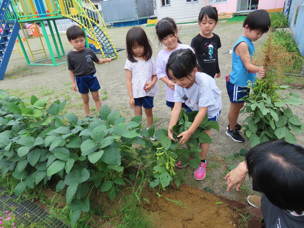 野菜の栽培活動